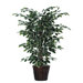 Bushes 4' Artificial Potted Natural Variegated Ficus Tree in Dark Green