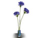 Floral Agapanthu