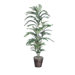 Deluxe Areca Palm Tree