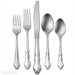 Dover 5 Piece Flatware Set