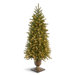 Pre-Lit 4' Jersey Fraser Fir Entrance Tree