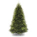 Dunhill Fir 9' Tree