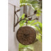 Bird on Branch Clock and Thermometer