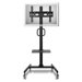 Adjustable Ergonomic Mobile TV Cart for 32" - 52"