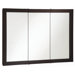 Ventura 48" x 30" Three Door Medicine Cabinet
