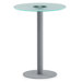 Net Series 19" Table Top in Frosted Glass
