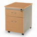 Mobile File Pedestal