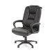 Deluxe High-Back Leather Executive Chair