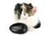 Ciottoli Dog and Cat Bowl in Anthracite