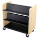 Laminate Book Truck