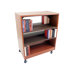 Double Face Mobile Shelving Unit with Deflecta-Stops and Casters