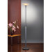 1 Light Tall Floor Lamp