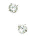 14k White Gold 5mm Round CZ Screwback Earrings