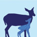 Animal - Doe Stretched Wall Art
