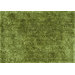 Carrera Green Rug