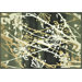 Expression Black/Charcoal Rug