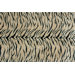 Avon Tiger Rug