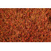 Dion Rug