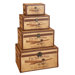 Vintage Style Aviation Storage Trunks (Set of 4)