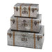 Trunk (Set of 3)