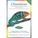 Chameleons Care and Breeding of Jackson's, Panther, Veiled, and Parson's