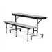 Mobile Convertible Bench Table