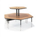2-Single Technology Tables Ganged Together (84" x 96")