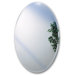 Beveled Edge Ovals 21"x 31" Medicine Cabinet