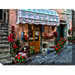 Cat At Camere Outdoor Canvas Art