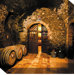 Wine Cellar #3 Outdoor Canvas Art