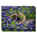 Bluebonnet Saddle Outdoor Canvas Art