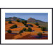 Juniper Hills Metal Framed Art Print