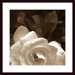 Gardenia Garden Wood Framed Art Print