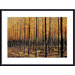 Trees Metal Framed Art Print