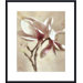 Pink Magnolia I by Donna Geissler Metal Framed Art Print