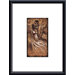 Whisper Metal Framed Art Print
