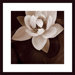 Amazon Lotus Wood Framed Art Print
