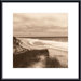 Wellfleet Dune Metal Framed Art Print