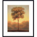 Solitude III Metal Framed Art Print