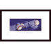 It's a Goner by Don Marquess Wood Framed Art Print