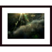 Lens Flare Wood Framed Art Print