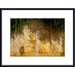 Water, Rock and Rosemary Metal Framed Art Print
