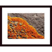 Lichen Abstract Wood Framed Art Print