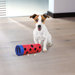Snack Roll Dog Activity Game