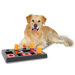 Chess Dog Activity Game