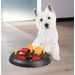 Flip Board Dog Activity Game