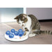 Solitaire Cat Activity Game