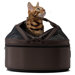 Mobile Pet Bed/Carrier in Dark Chocolate