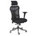 Adjustable Height Executive Chair with Headrest