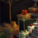 Solar Garden LED Light Set